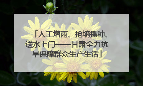 人工增雨、抢墒播种、送水上门——甘肃全力抗旱保障群众生产生活