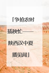 争抢农时插秧忙——陕西汉中夏播见闻