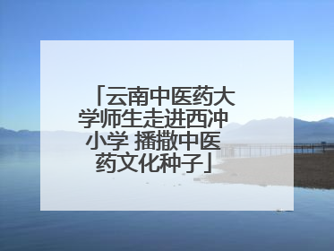 云南中医药大学师生走进西冲小学 播撒中医药文化种子