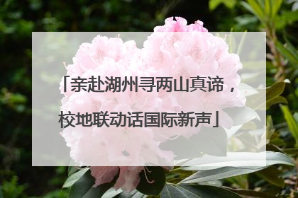 亲赴湖州寻两山真谛，校地联动话国际新声
