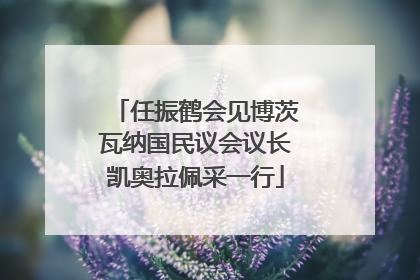 任振鹤会见博茨瓦纳国民议会议长凯奥拉佩采一行