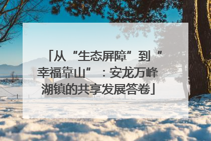 从“生态屏障”到“幸福靠山”：安龙万峰湖镇的共享发展答卷