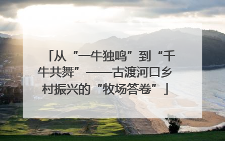 从“一牛独鸣”到“千牛共舞”——古渡河口乡村振兴的“牧场答卷”
