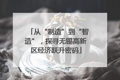 从“制造”到“智造”，探寻无锡高新区经济跃升密码