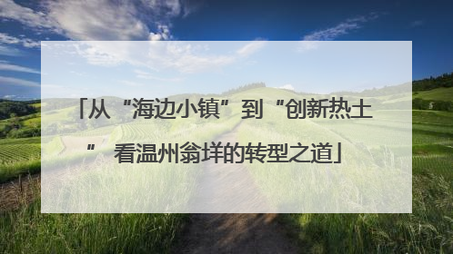从“海边小镇”到“创新热土” 看温州翁垟的转型之道