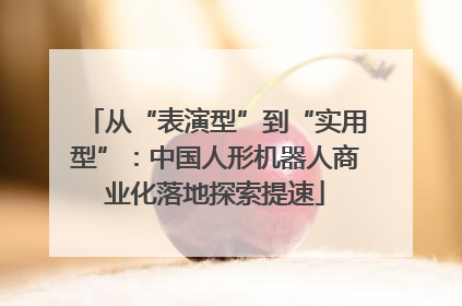 从“表演型”到“实用型”：中国人形机器人商业化落地探索提速