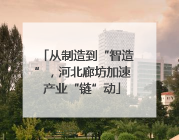 从制造到“智造”，河北廊坊加速产业“链”动
