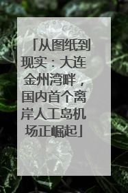 从图纸到现实：大连金州湾畔，国内首个离岸人工岛机场正崛起