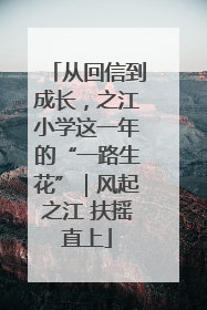 从回信到成长，之江小学这一年的“一路生花”｜风起之江 扶摇直上