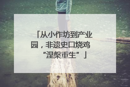 从小作坊到产业园，非遗史口烧鸡“涅槃重生”