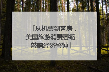 从机票到客房，美国旅游消费萎缩敲响经济警钟
