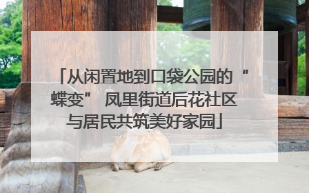 从闲置地到口袋公园的“蝶变” 凤里街道后花社区与居民共筑美好家园