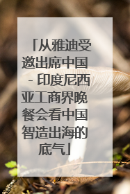 从雅迪受邀出席中国－印度尼西亚工商界晚餐会看中国智造出海的底气