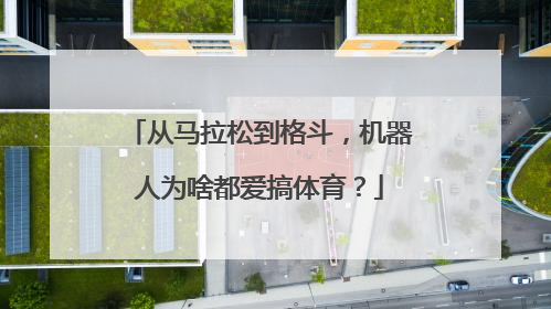 从马拉松到格斗，机器人为啥都爱搞体育？