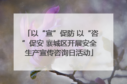以“宣”促防 以“咨”促安 襄城区开展安全生产宣传咨询日活动