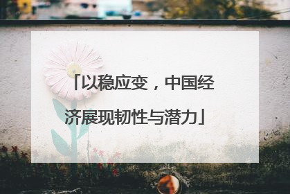 以稳应变，中国经济展现韧性与潜力