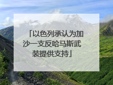 以色列承认为加沙一支反哈马斯武装提供支持