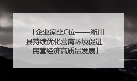 企业家坐C位——淅川县持续优化营商环境促进 民营经济高质量发展