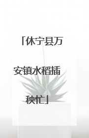 休宁县万安镇水稻插秧忙