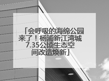 会呼吸的海绵公园来了！杨浦新江湾城7.35公顷生态空间改造焕新