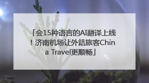 会15种语言的AI翻译上线！济南机场让外籍旅客China Travel更顺畅