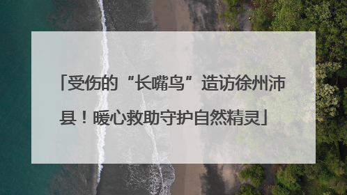 受伤的“长嘴鸟”造访徐州沛县！暖心救助守护自然精灵