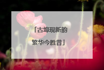 古埠现新韵 繁华今胜昔
