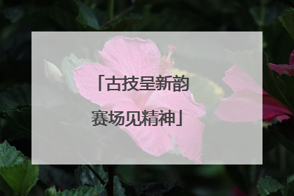 古技呈新韵 赛场见精神