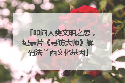 叩问人类文明之思，纪录片《寻访大师》解码法兰西文化基因