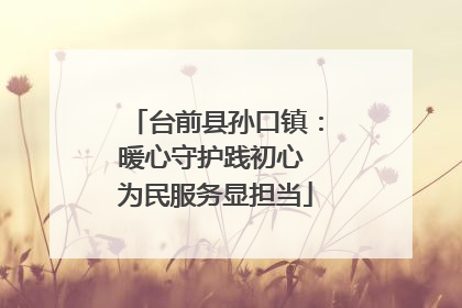 台前县孙口镇：暖心守护践初心 为民服务显担当
