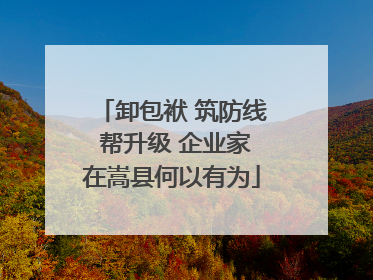 卸包袱 筑防线 帮升级 企业家在嵩县何以有为
