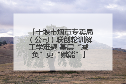 十堰市烟草专卖局（公司）联创轮训解工学难题 基层“减负”更“赋能”