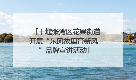 十堰张湾区花果街道开展“东风故里育新风”品牌宣讲活动