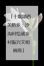 十堰郧西关防乡：沙沟村绘就乡村振兴文明画卷