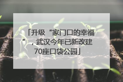 升级“家门口的幸福”，武汉今年已新改建70座口袋公园