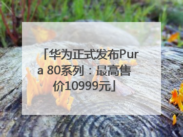 华为正式发布Pura 80系列：最高售价10999元