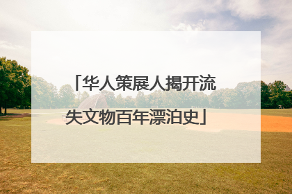 华人策展人揭开流失文物百年漂泊史