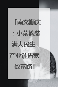 南充顺庆：小菜篮装满大民生 产业链拓宽致富路