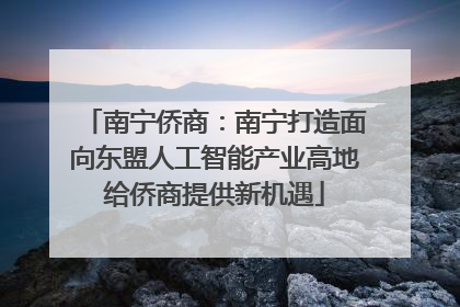南宁侨商：南宁打造面向东盟人工智能产业高地给侨商提供新机遇