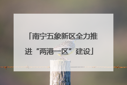 南宁五象新区全力推进“两港一区”建设