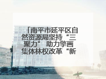 南平市延平区自然资源局坚持“三聚力” 助力擎画集体林权改革“新图景”