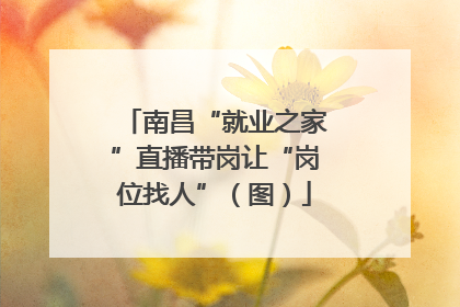 南昌“就业之家”直播带岗让“岗位找人”（图）