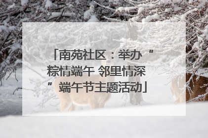 南苑社区：举办“粽情端午 邻里情深”端午节主题活动