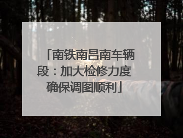 南铁南昌南车辆段：加大检修力度确保调图顺利
