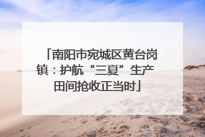 南阳市宛城区黄台岗镇：护航“三夏”生产 田间抢收正当时