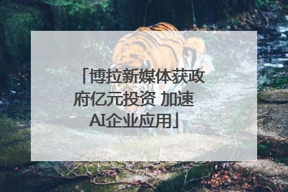 博拉新媒体获政府亿元投资 加速AI企业应用