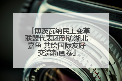博茨瓦纳民主变革联盟代表团到访湖北嘉鱼 共绘国际友好交流新画卷