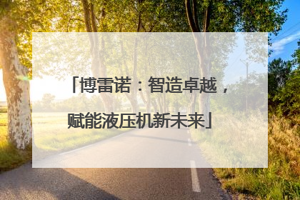 博雷诺：智造卓越，赋能液压机新未来
