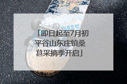 即日起至7月初 平谷山东庄镇桑葚采摘季开启