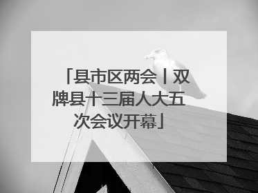 县市区两会丨双牌县十三届人大五次会议开幕